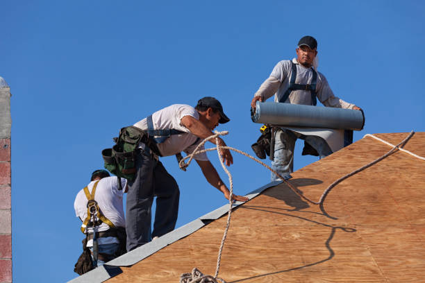 Best Roof Gutter Cleaning  in Auburn Lake Trails, CA
